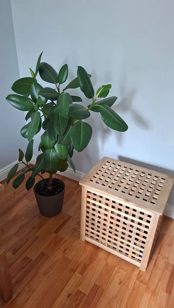 Storage box - Image 2