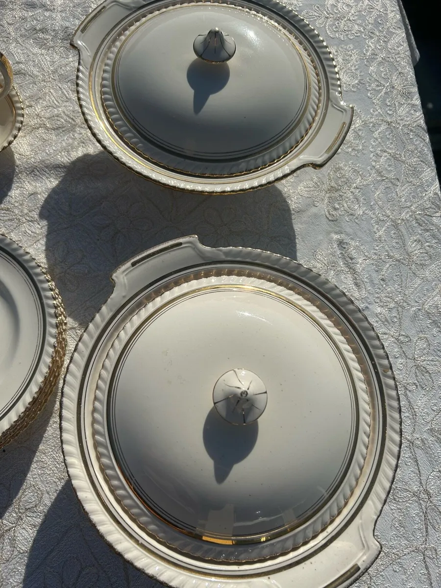 Johnson’s bros dinner service - Image 4