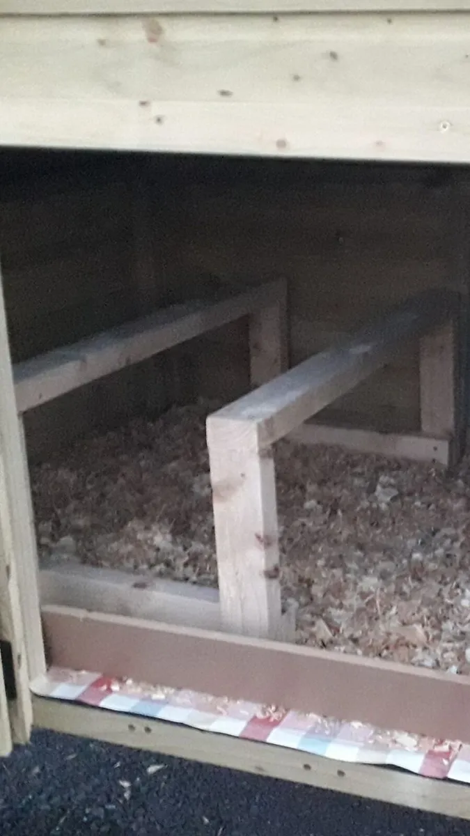 Chicken Perches - Image 2