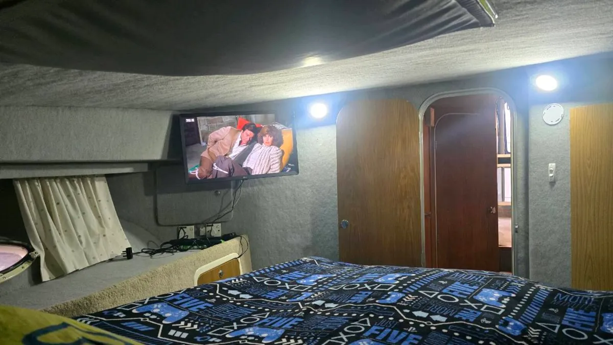 Birchwood ts34 - Image 3