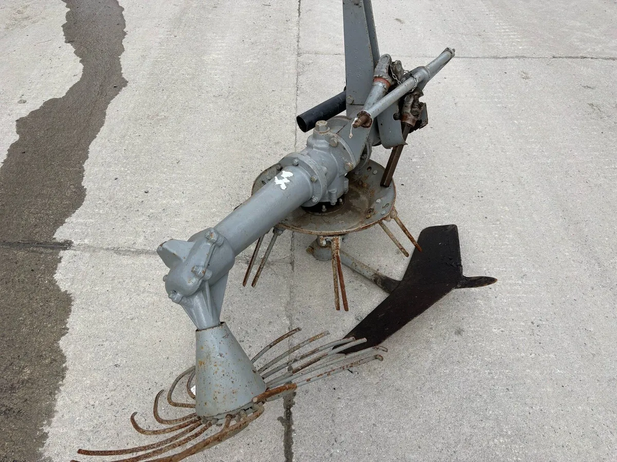 Ferguson potato digger - Image 1