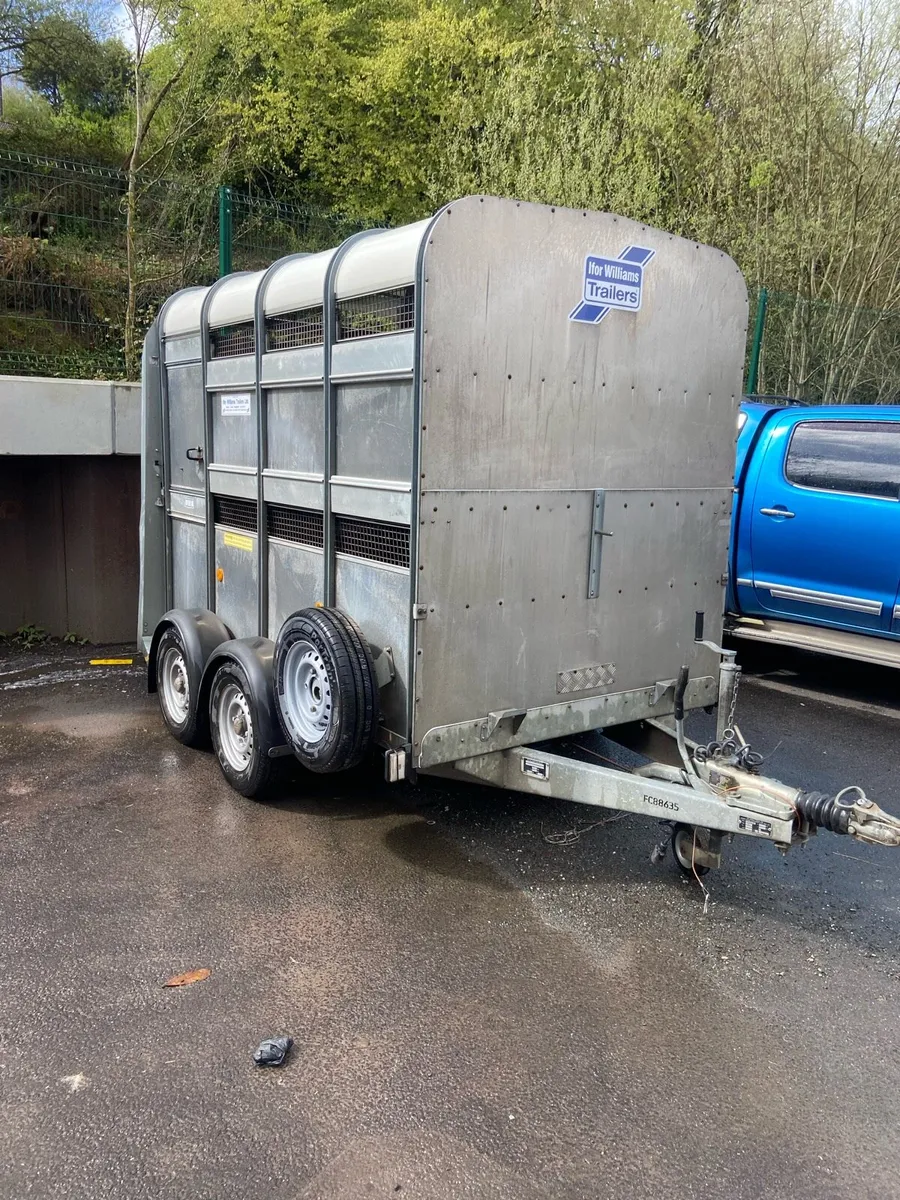 Trailer Ifor Williams 8x6 €6995 - Image 3