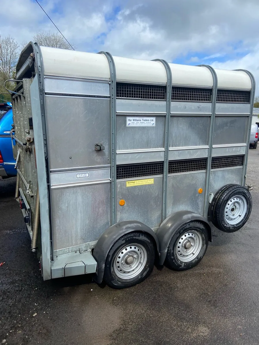 Trailer Ifor Williams 8x6 €6995 - Image 1