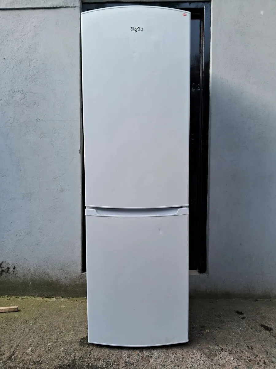YEAR OLD FRIDGE AND FREEZER - Image 3