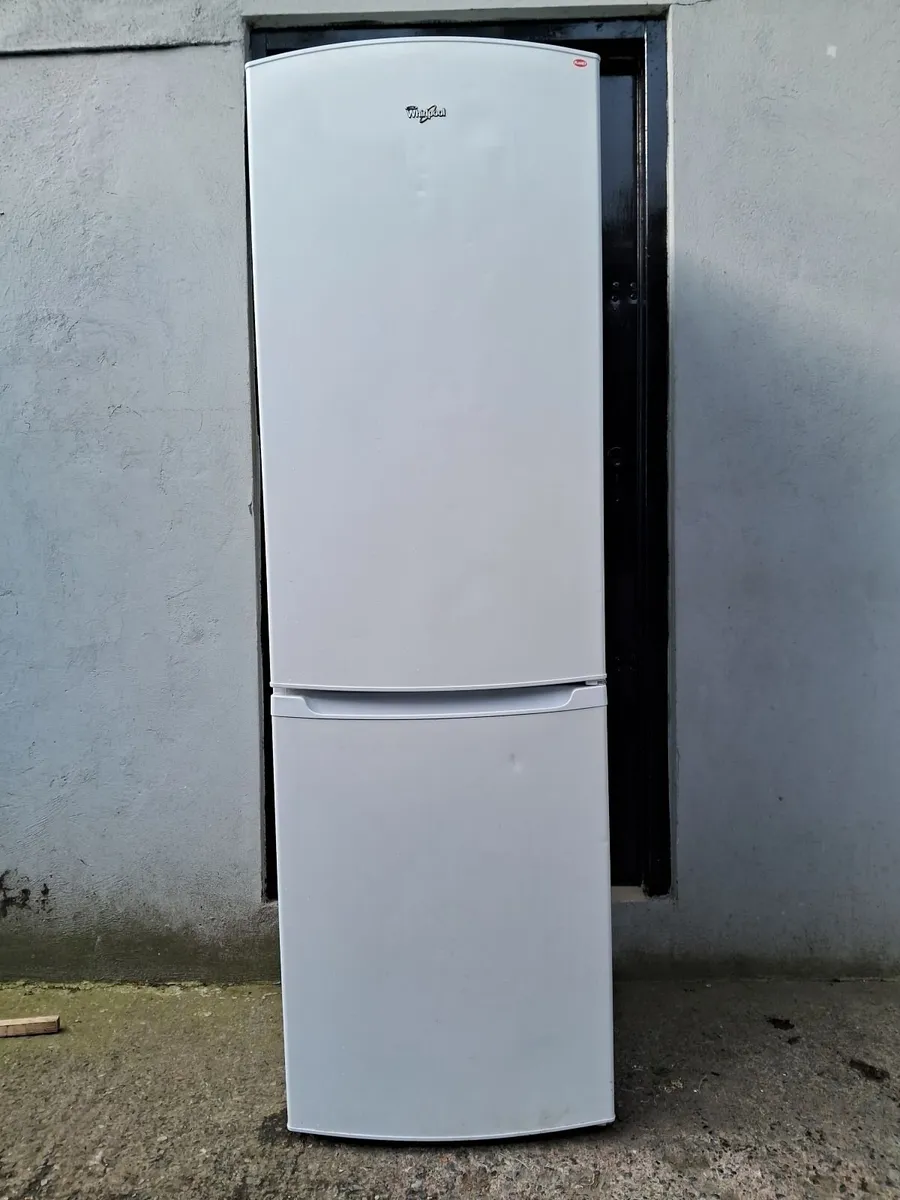 YEAR OLD FRIDGE AND FREEZER - Image 1