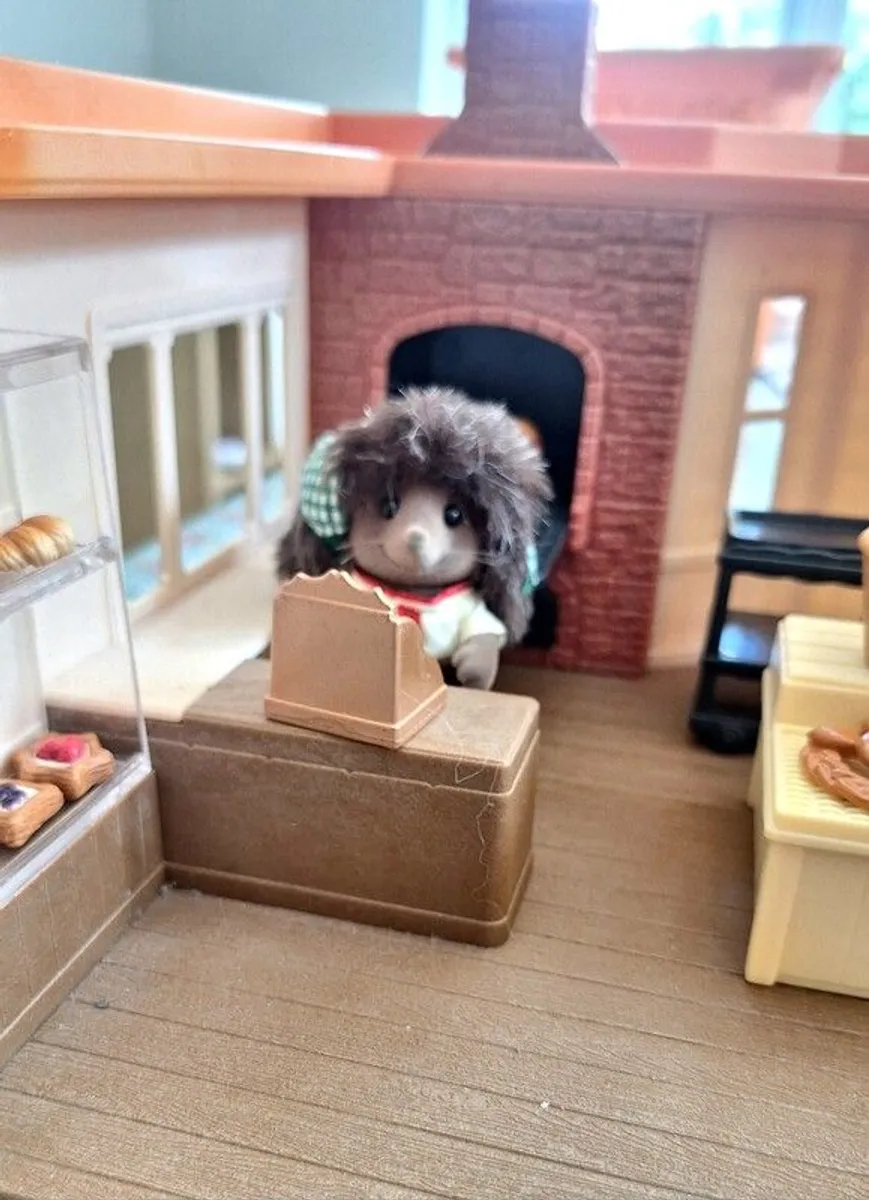 Sylvanian Bundle - Image 4