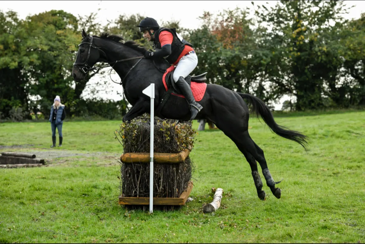 16.3 Eventer - Image 2