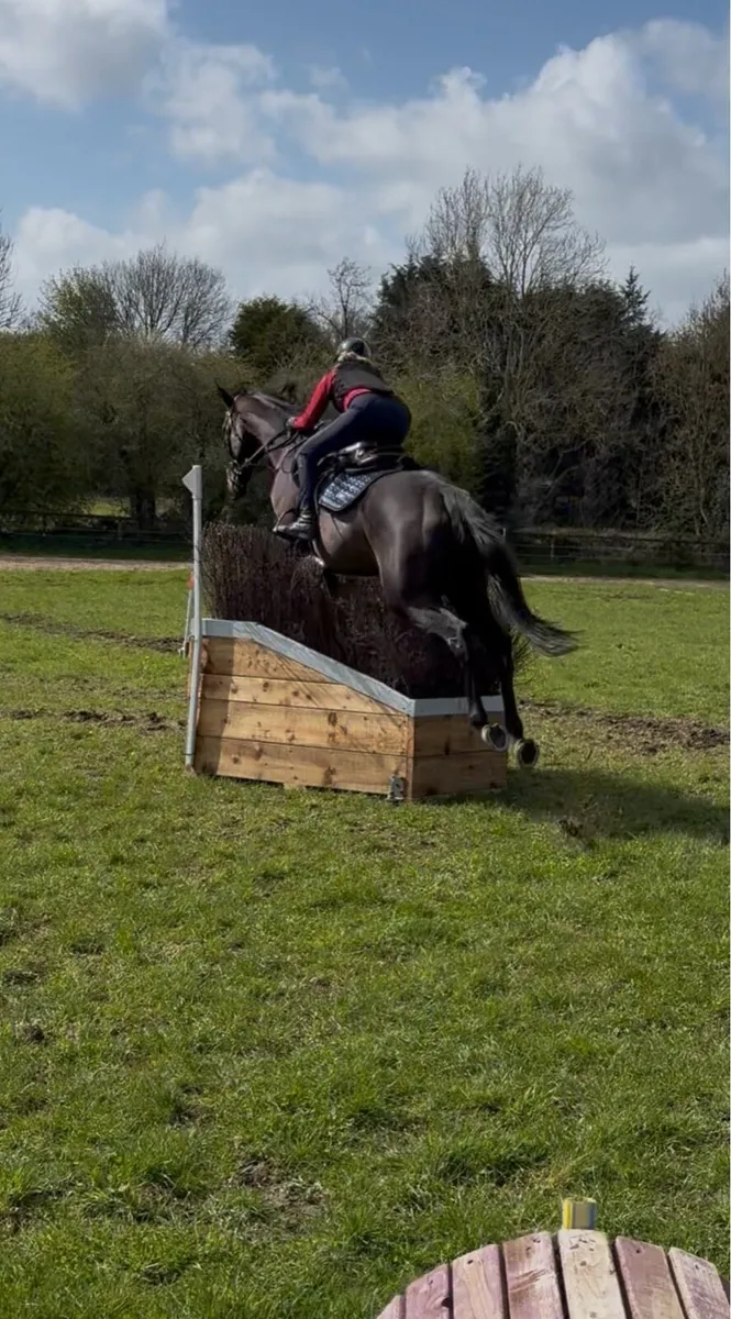 16.3 Eventer - Image 1