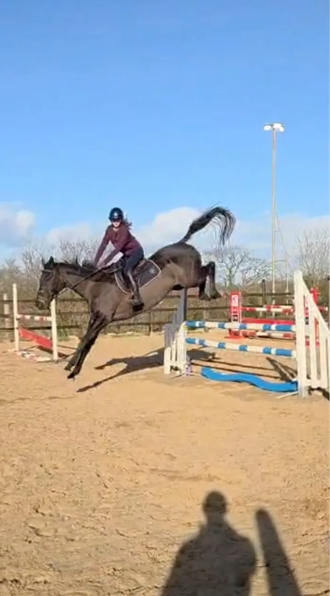 16.3 Eventer - Image 3