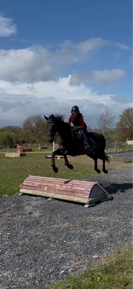 16.3 Eventer - Image 4