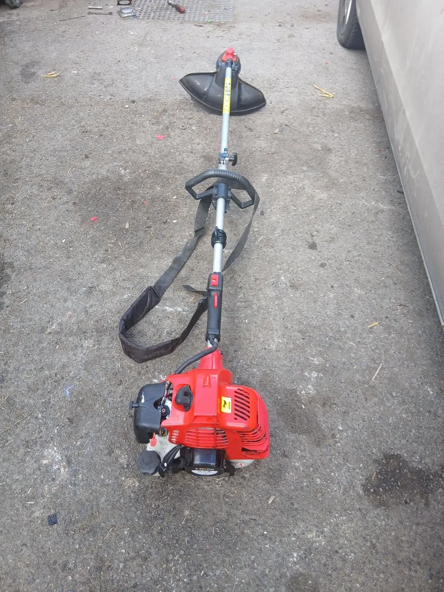 New grass strummers running 💯 priced 80e - Image 2