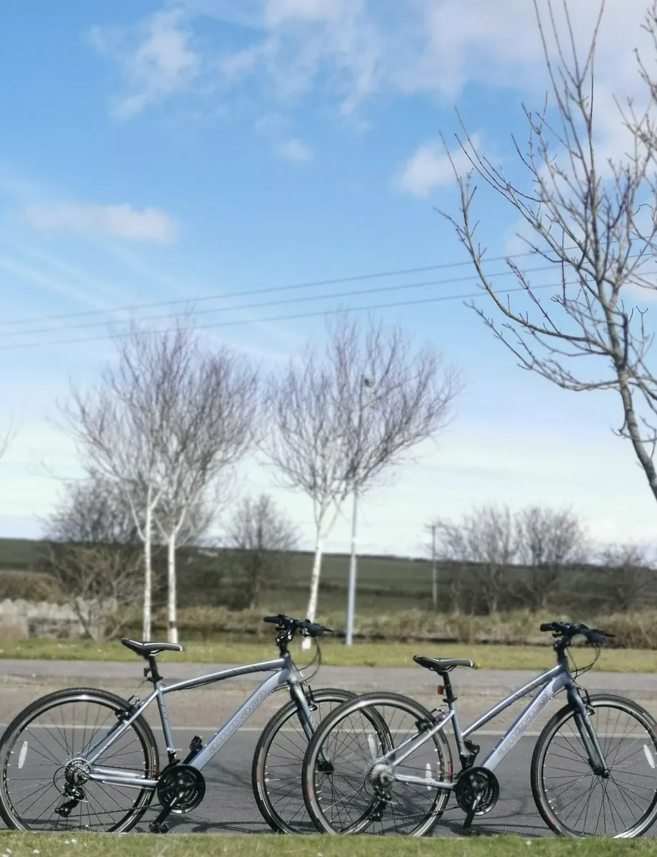 Hybrid Bikes - Image 1