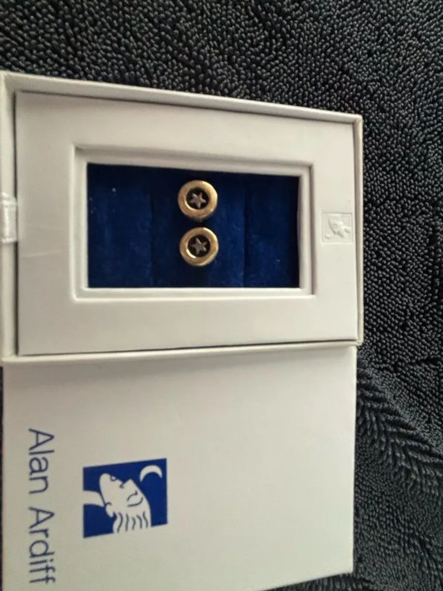 Alan Ardiff earrings