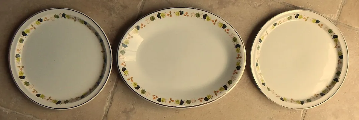 14 Piece Vintage Arklow Pottery Coffee Set - Image 3