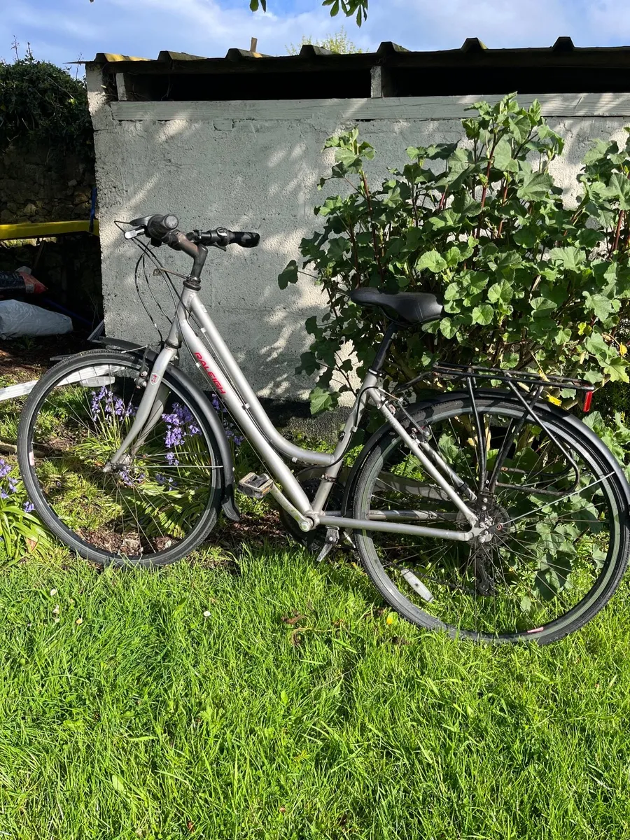 Raleigh Bicycle - Image 2