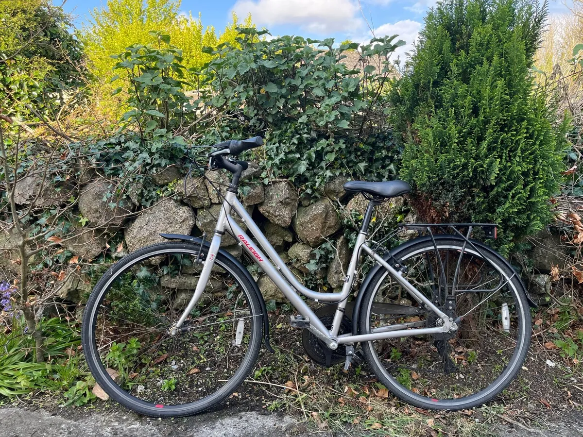 Raleigh Bicycle - Image 3