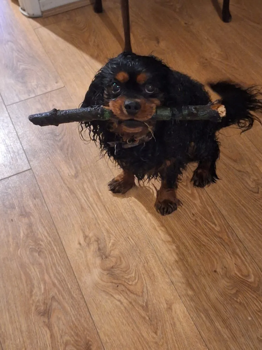 Wood fitter - Image 1