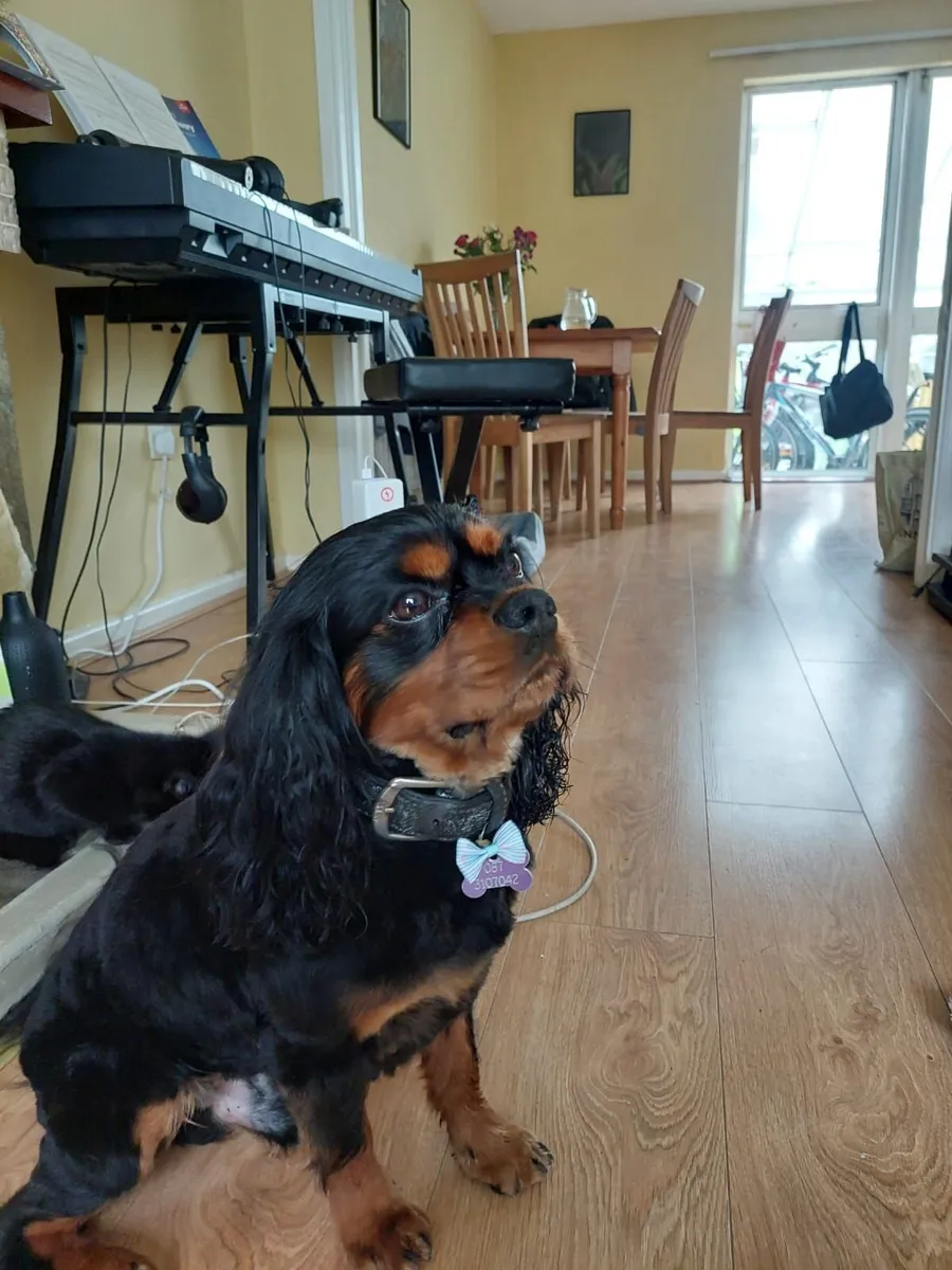 Wood fitter - Image 2