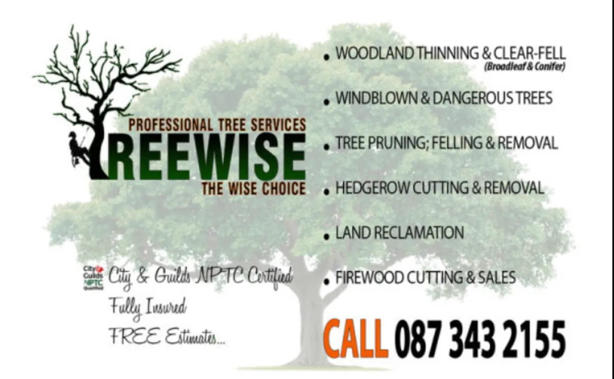 Treewise Tree Services - Image 1