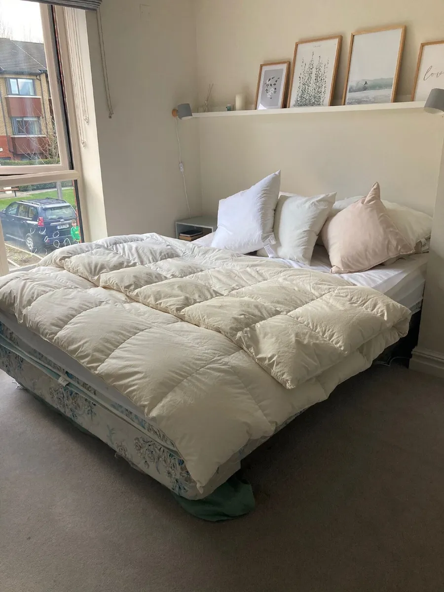 FREE Queen Bed & Mattress