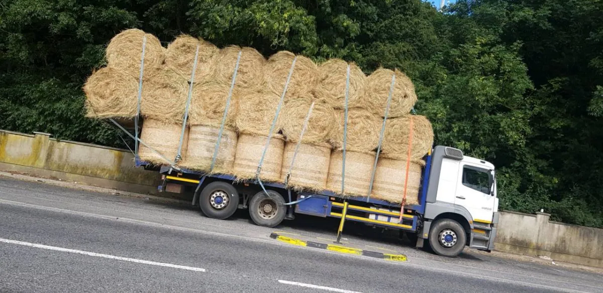 Truck/ cattle body / flat body - Image 4