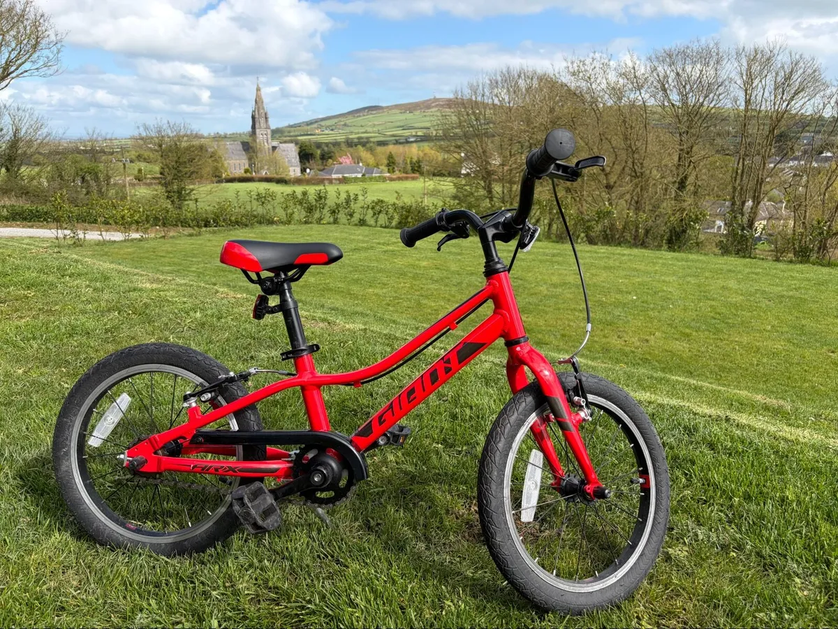 GIANT Kids Bike – 16” Wheels – Excellent Condition - Image 1
