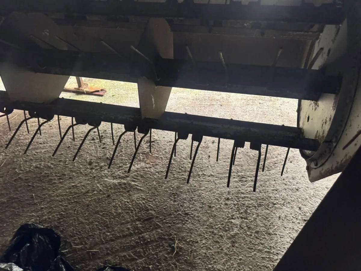 Belmac Wuffler - Image 4