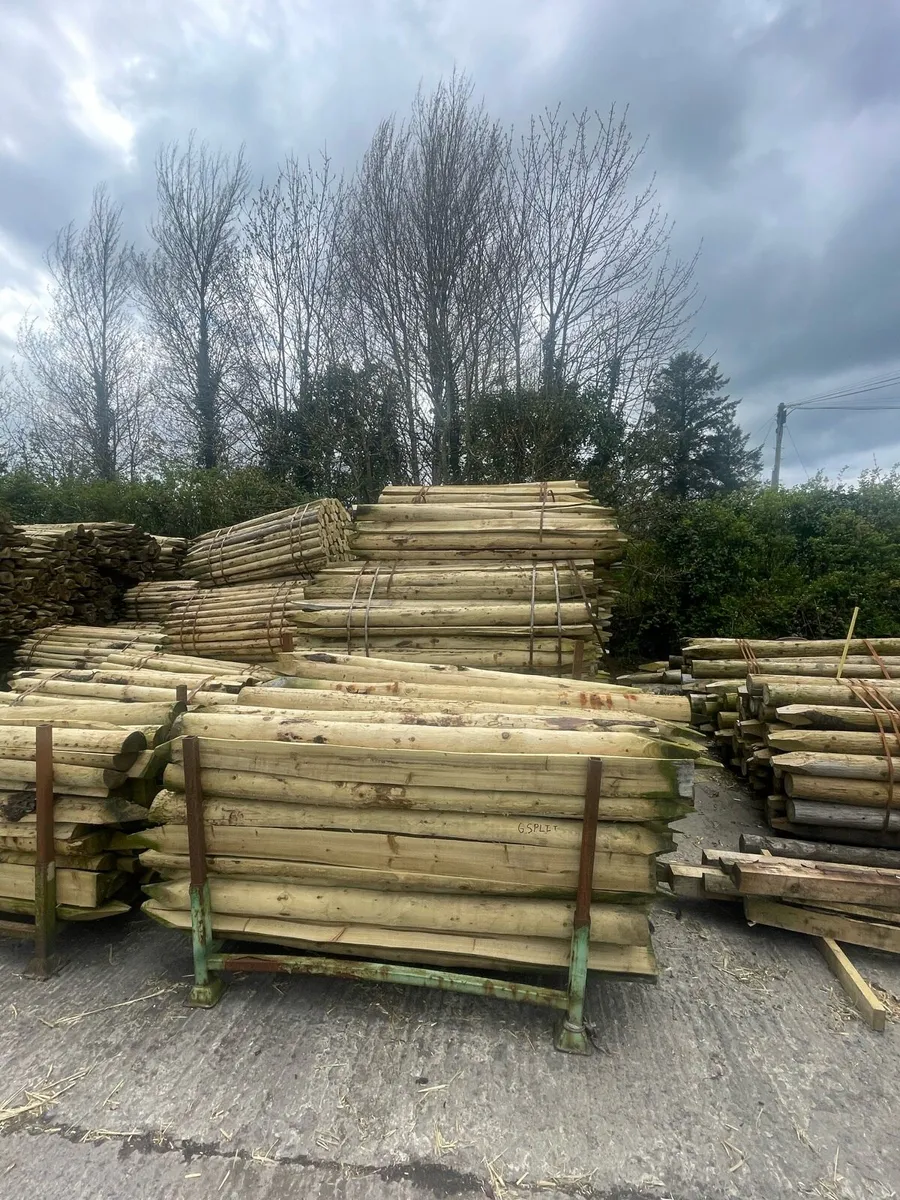 Fencing posts and wire - Image 2