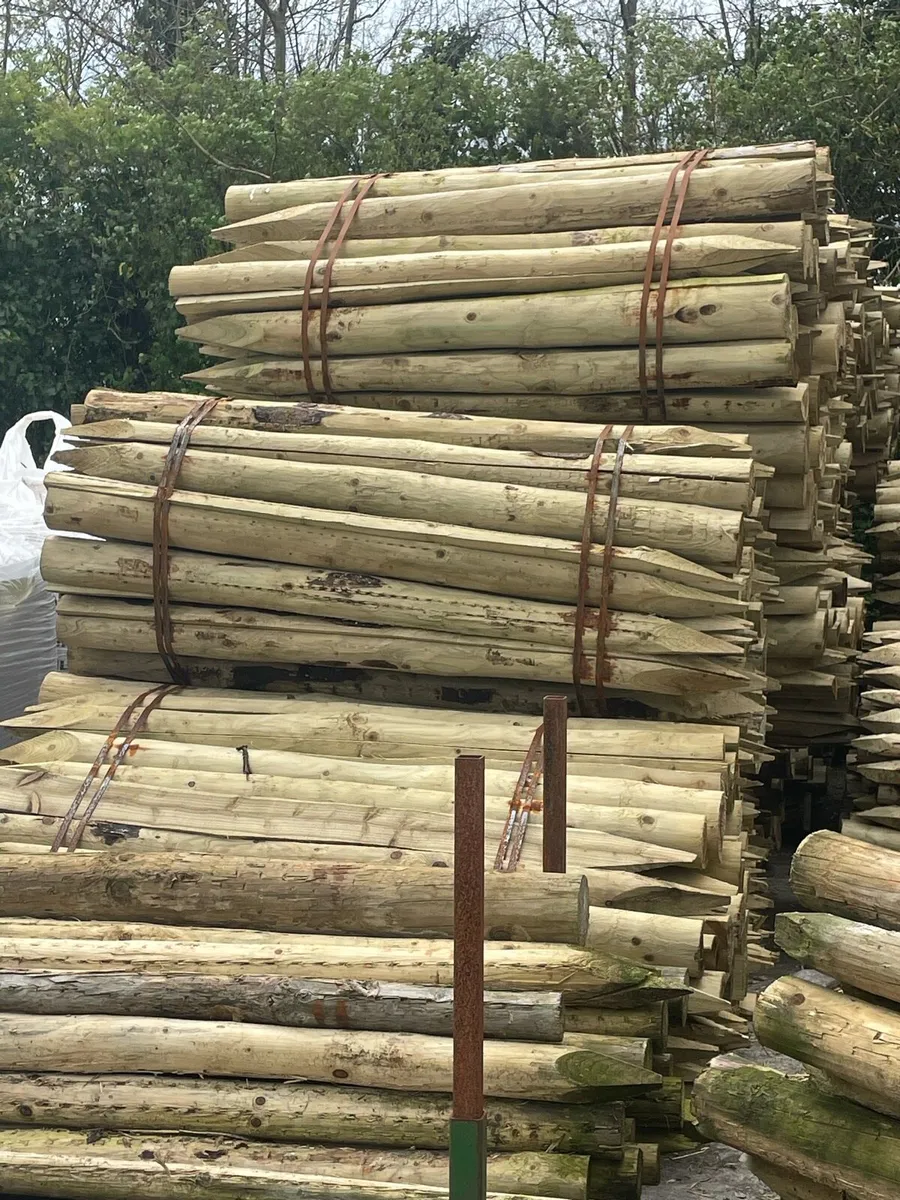 Fencing posts and wire - Image 1