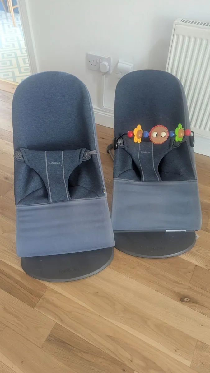 Baby Bjorn Bouncer
