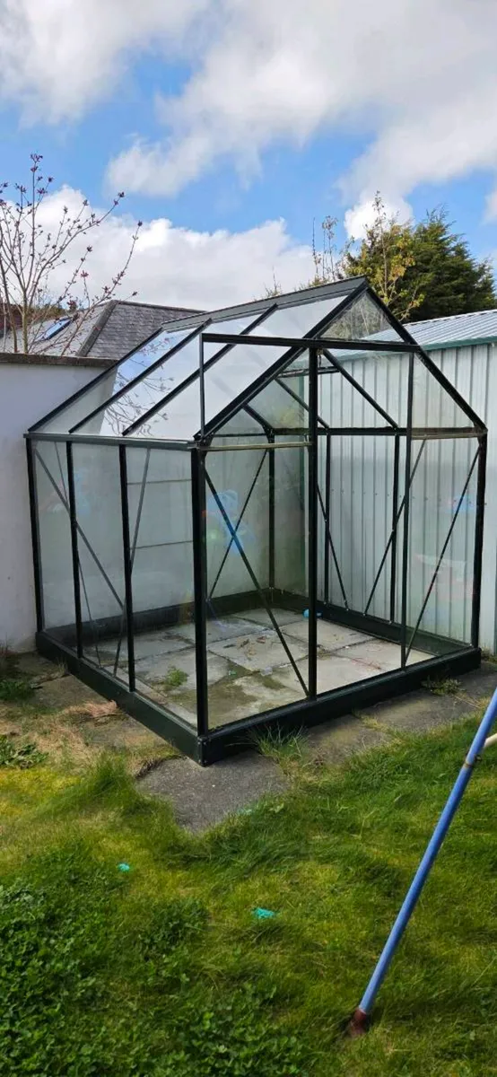 Halls Popular - Image 1