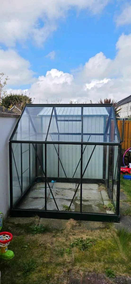 Halls Popular - Image 2