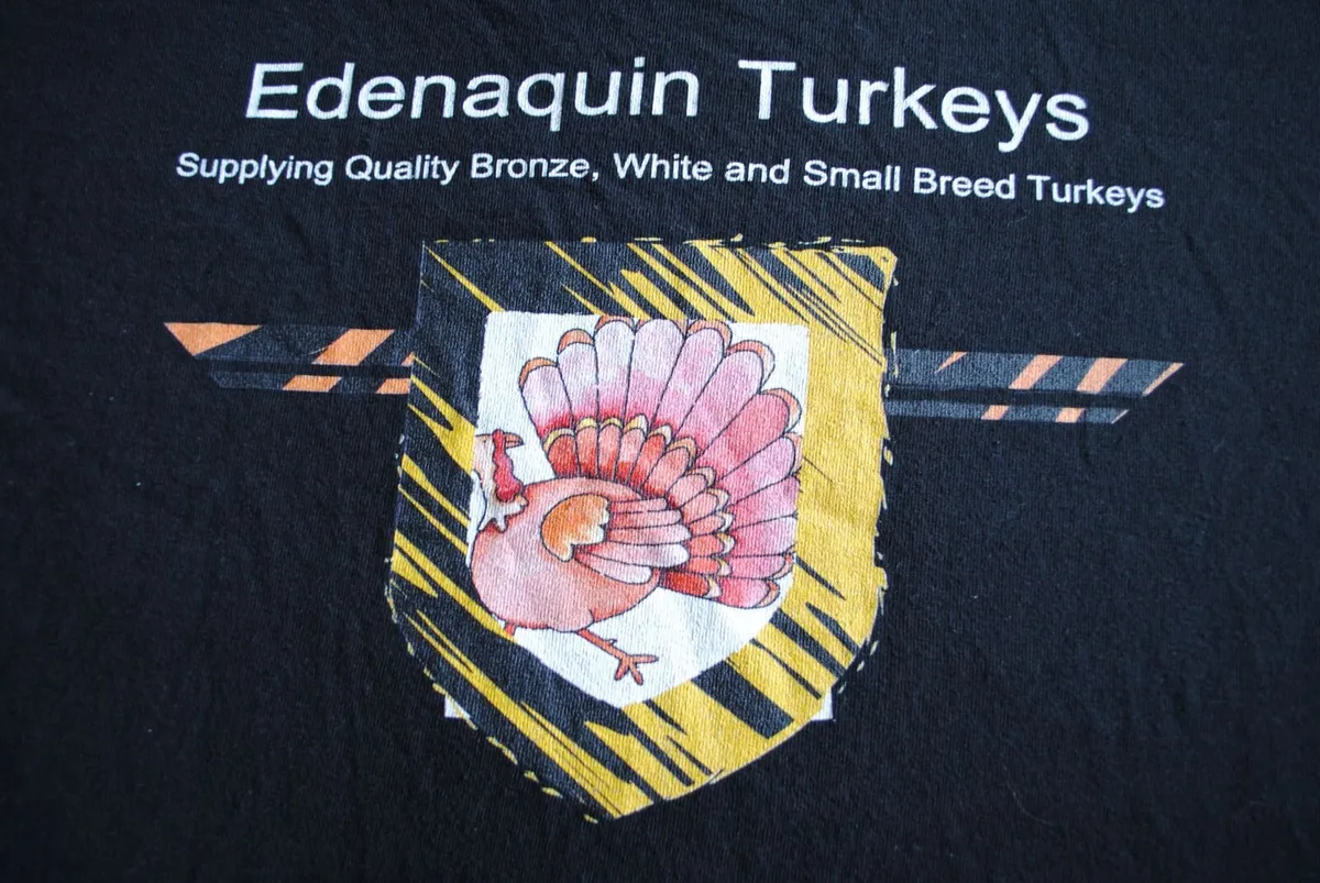 Turkeys - Image 4