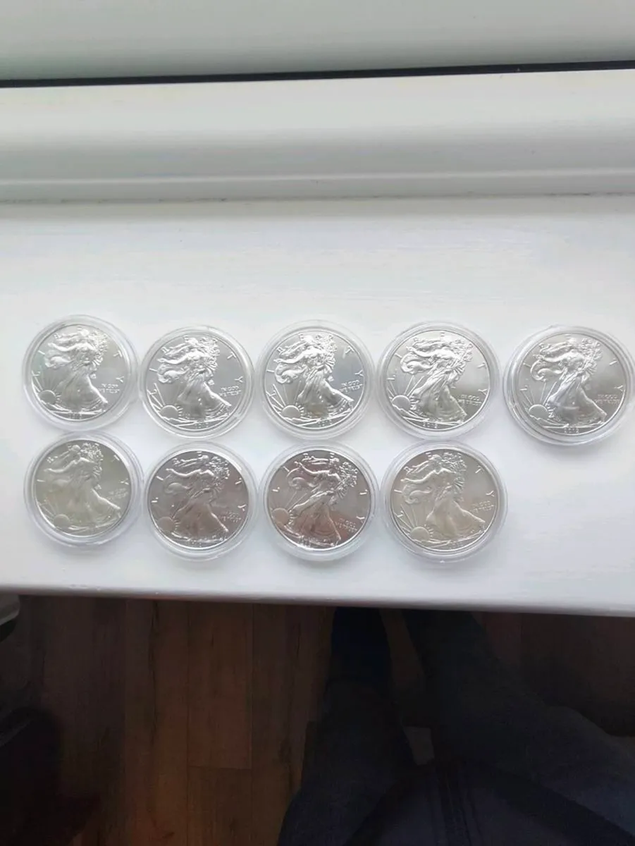 9 American silver eagle coins all 2012 in plastic - Image 1