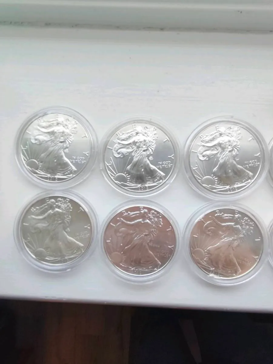 9 American silver eagle coins all 2012 in plastic - Image 2