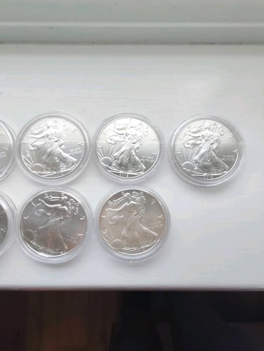 9 American silver eagle coins all 2012 in plastic - Image 3