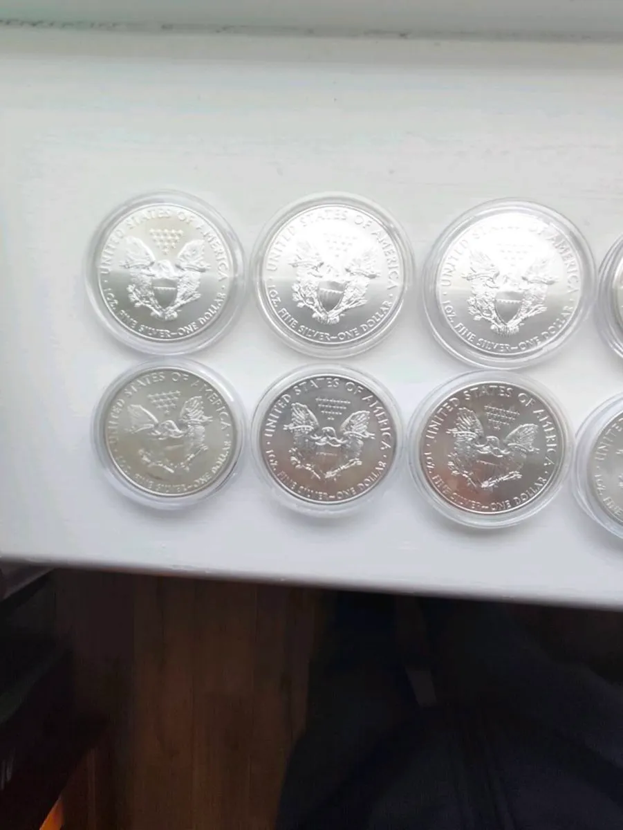 9 American silver eagle coins all 2012 in plastic - Image 4