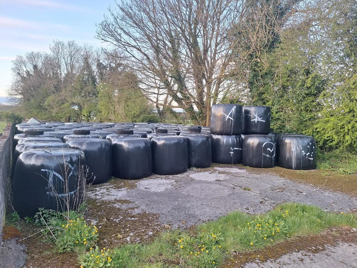 Silage bales - Image 2