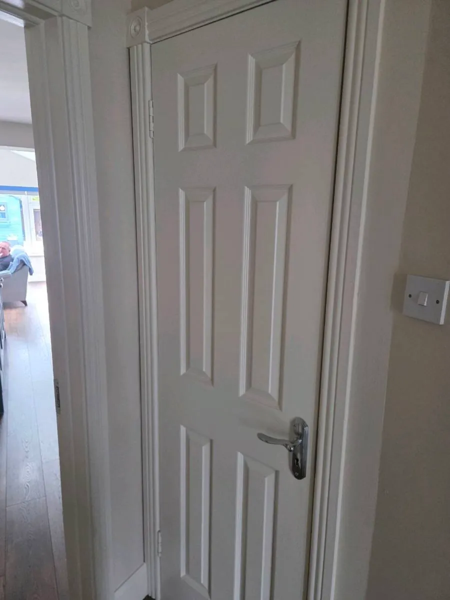 Internal Doors - Image 4