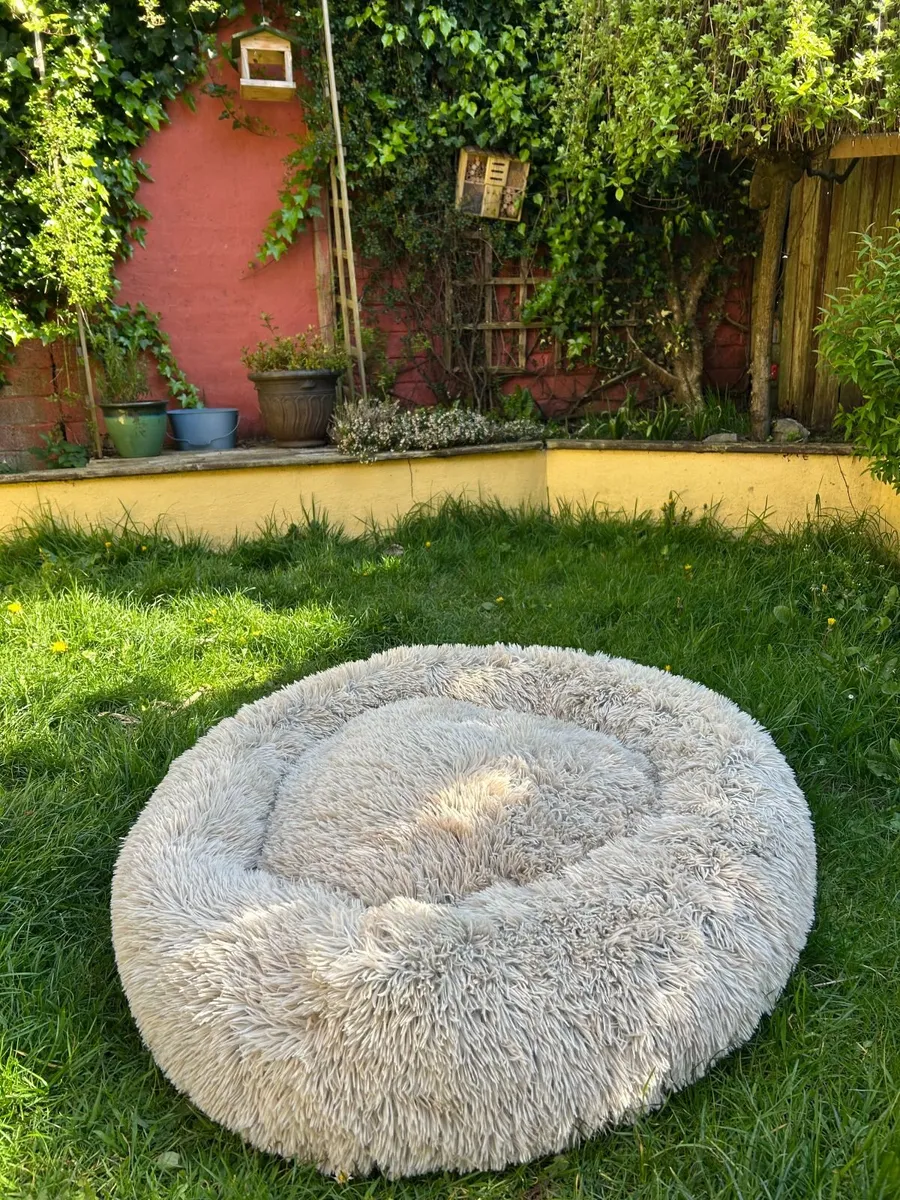 Donut Dog Bed, large, brand new condition - Image 4