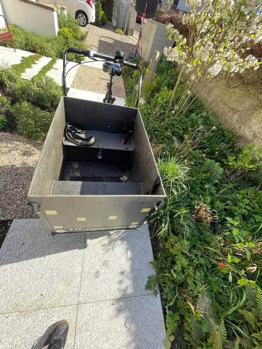 Cargo Bike - Image 2