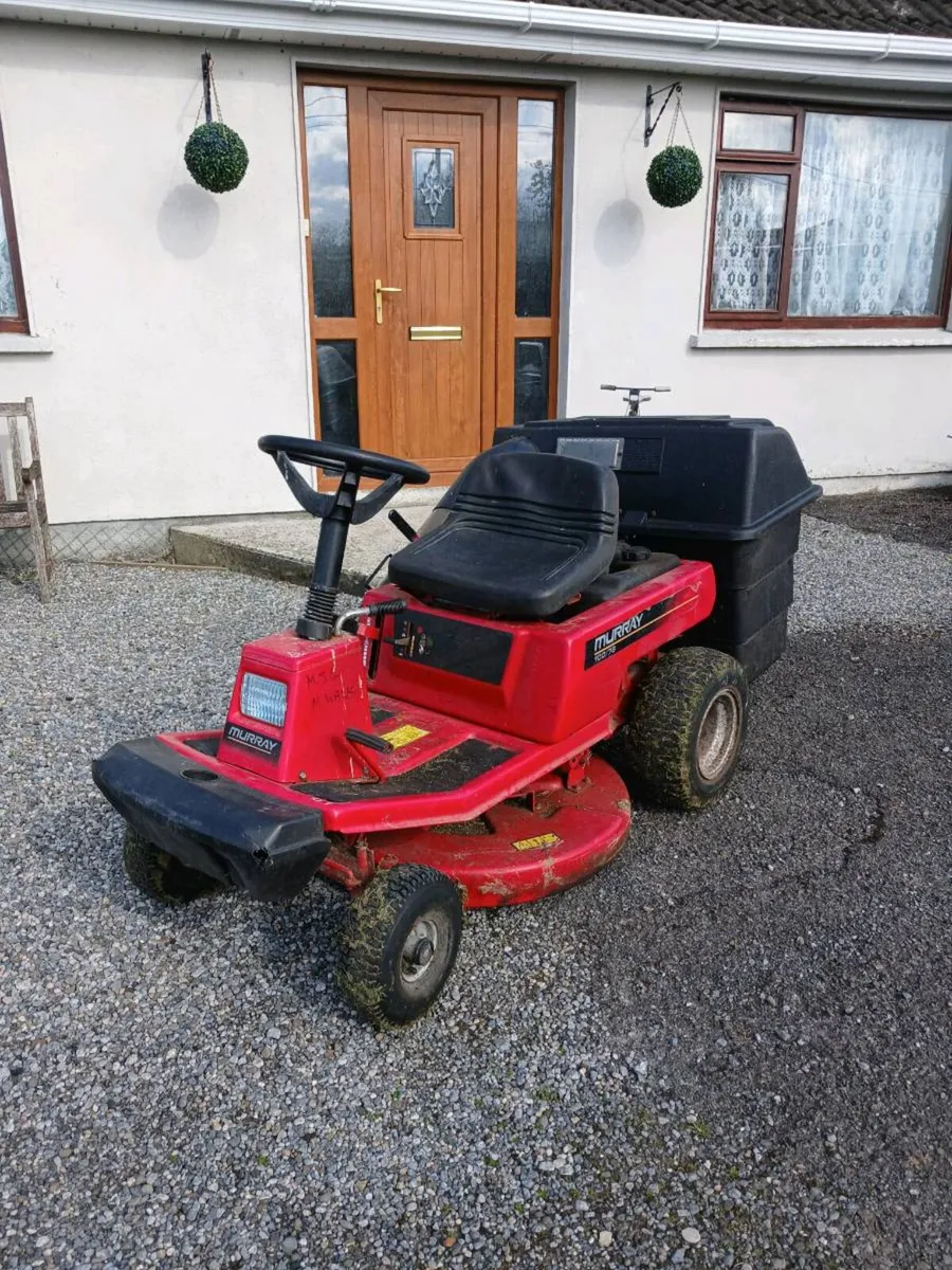 Murray still going great - Image 1