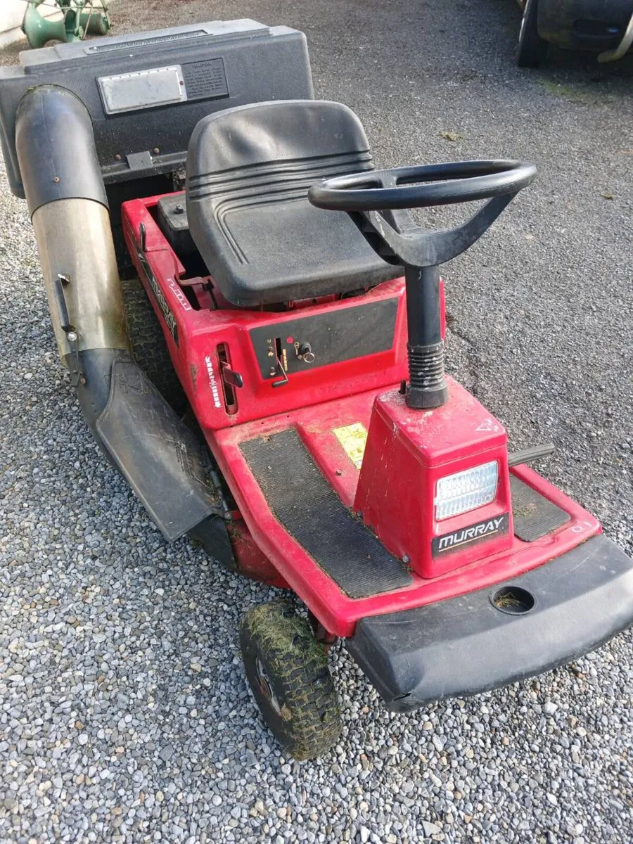 Murray still going great - Image 2