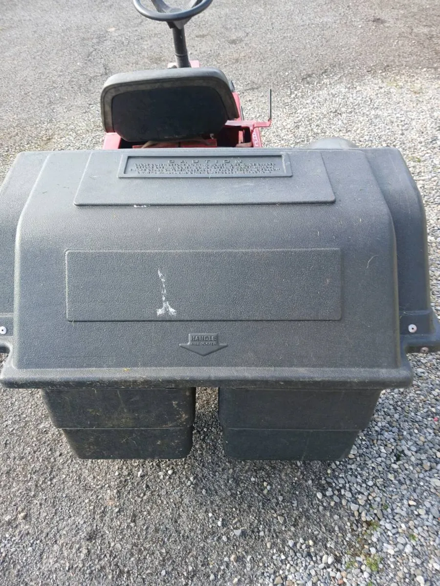 Murray still going great - Image 3