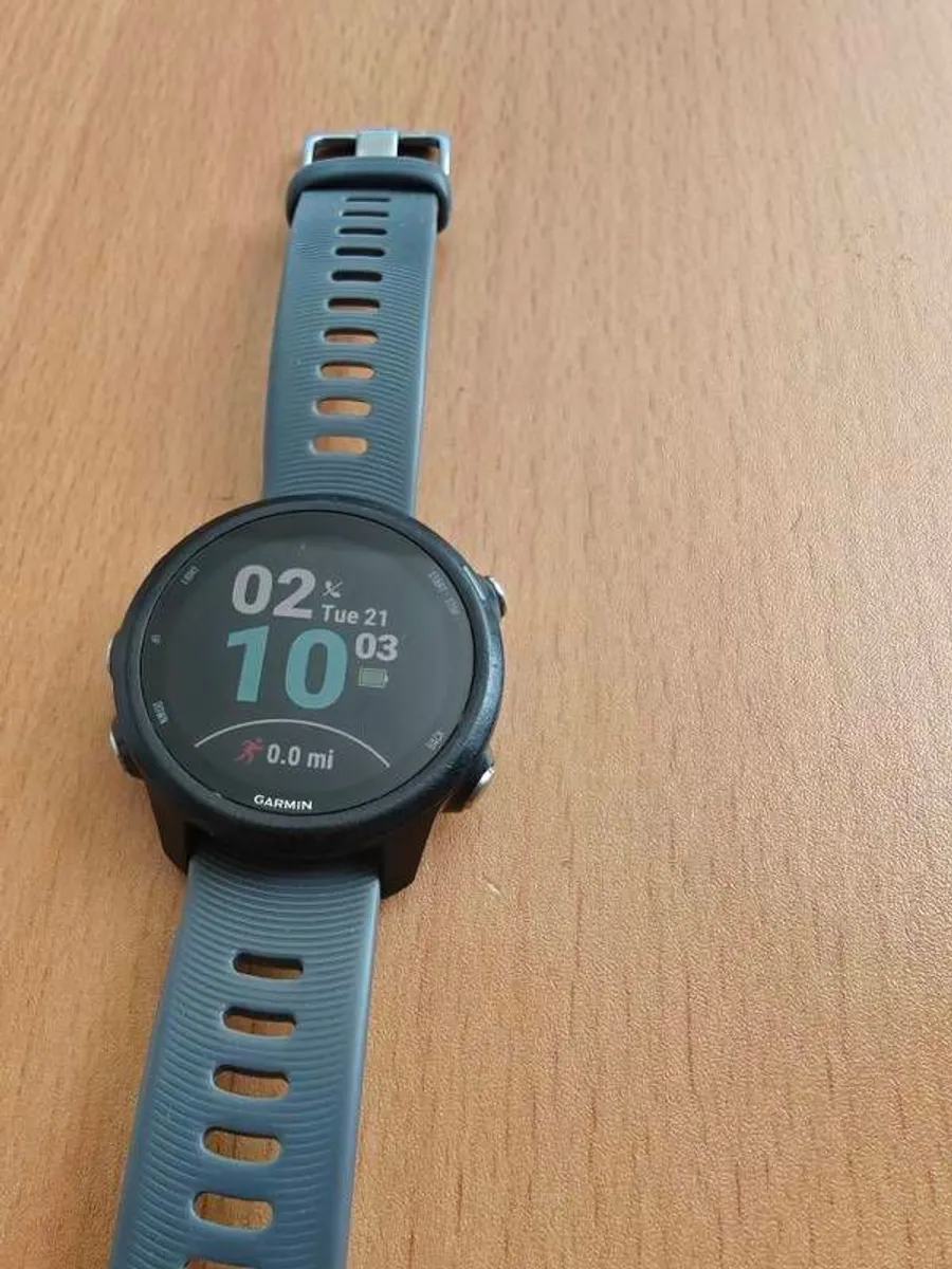 Garmin Forerunner 245 - Image 1