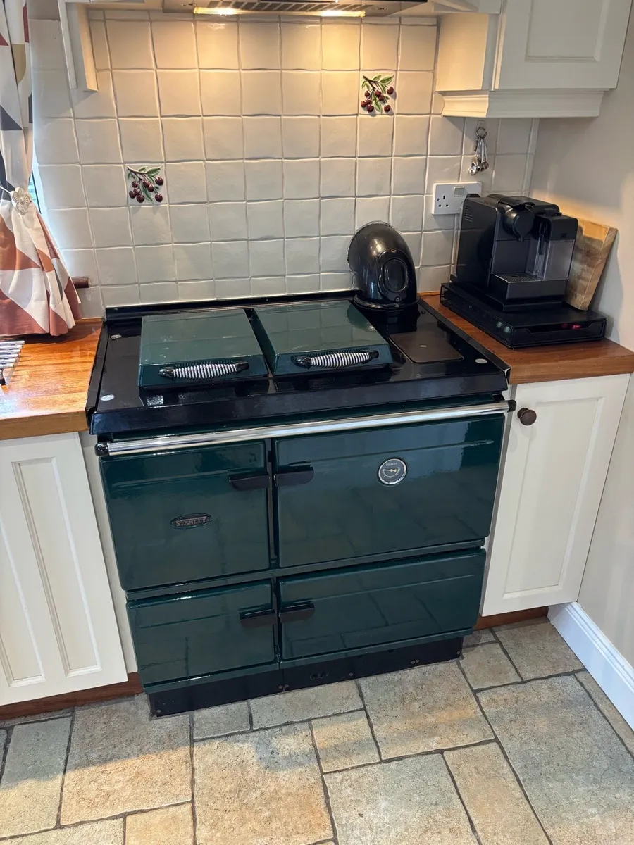 Stanley Twin Burner Oil Cooker - Image 1