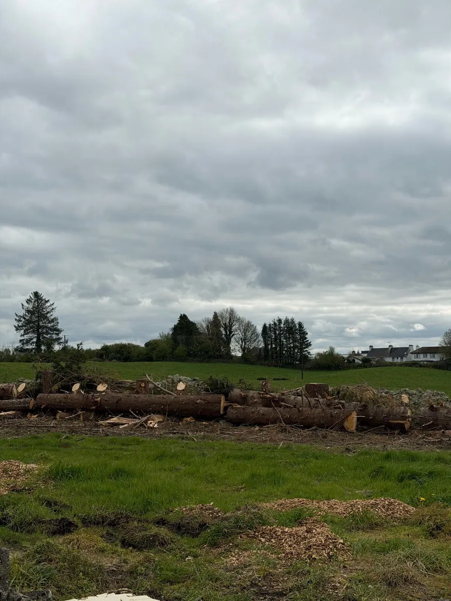 Wood Chip & Trees - Image 2