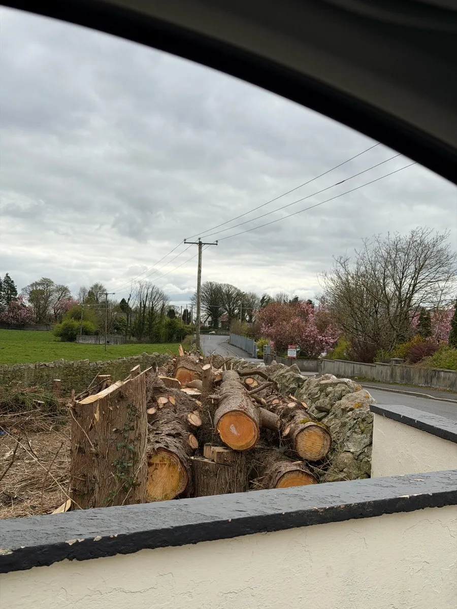 Wood Chip & Trees - Image 4