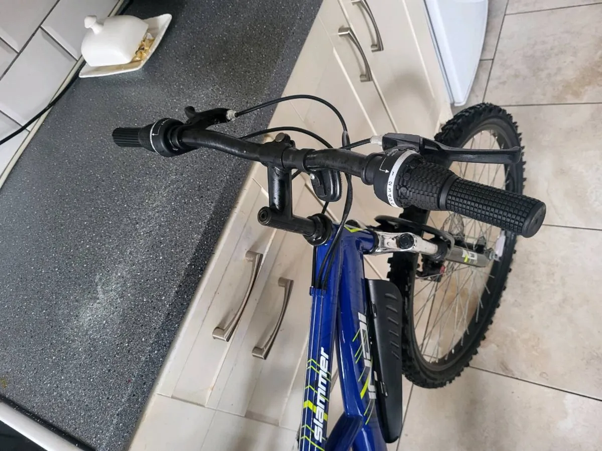 Mountain bike (LIKE NEW) - Image 2