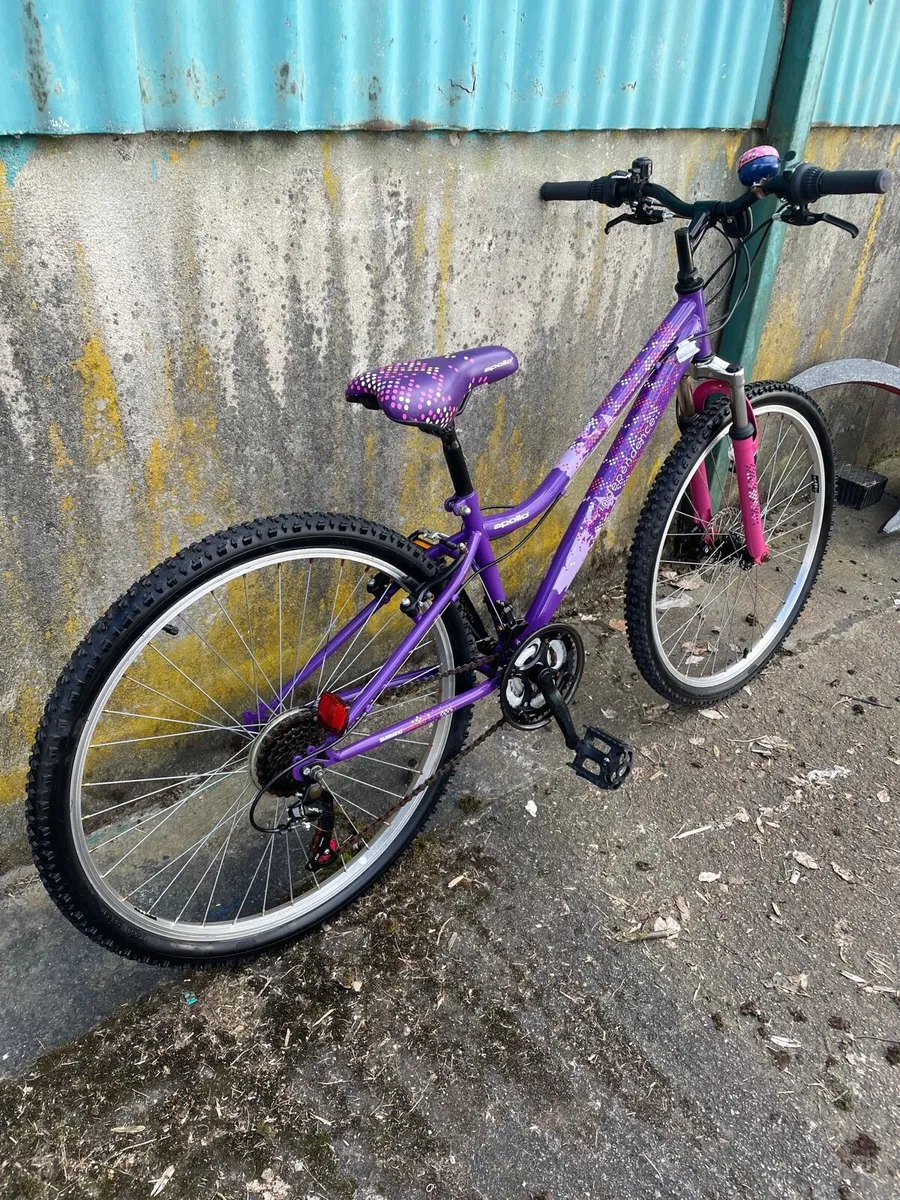 Girls mountain bike in excellent condition - Image 2